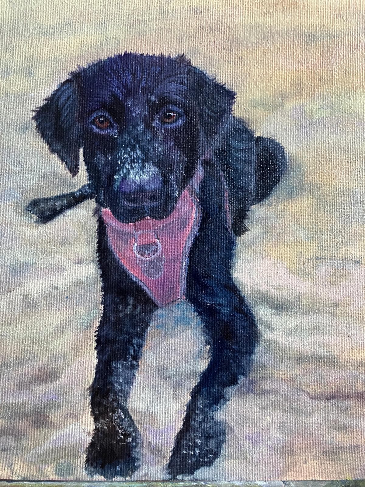 Oil painting of a black dog in a pink harness lying on sand