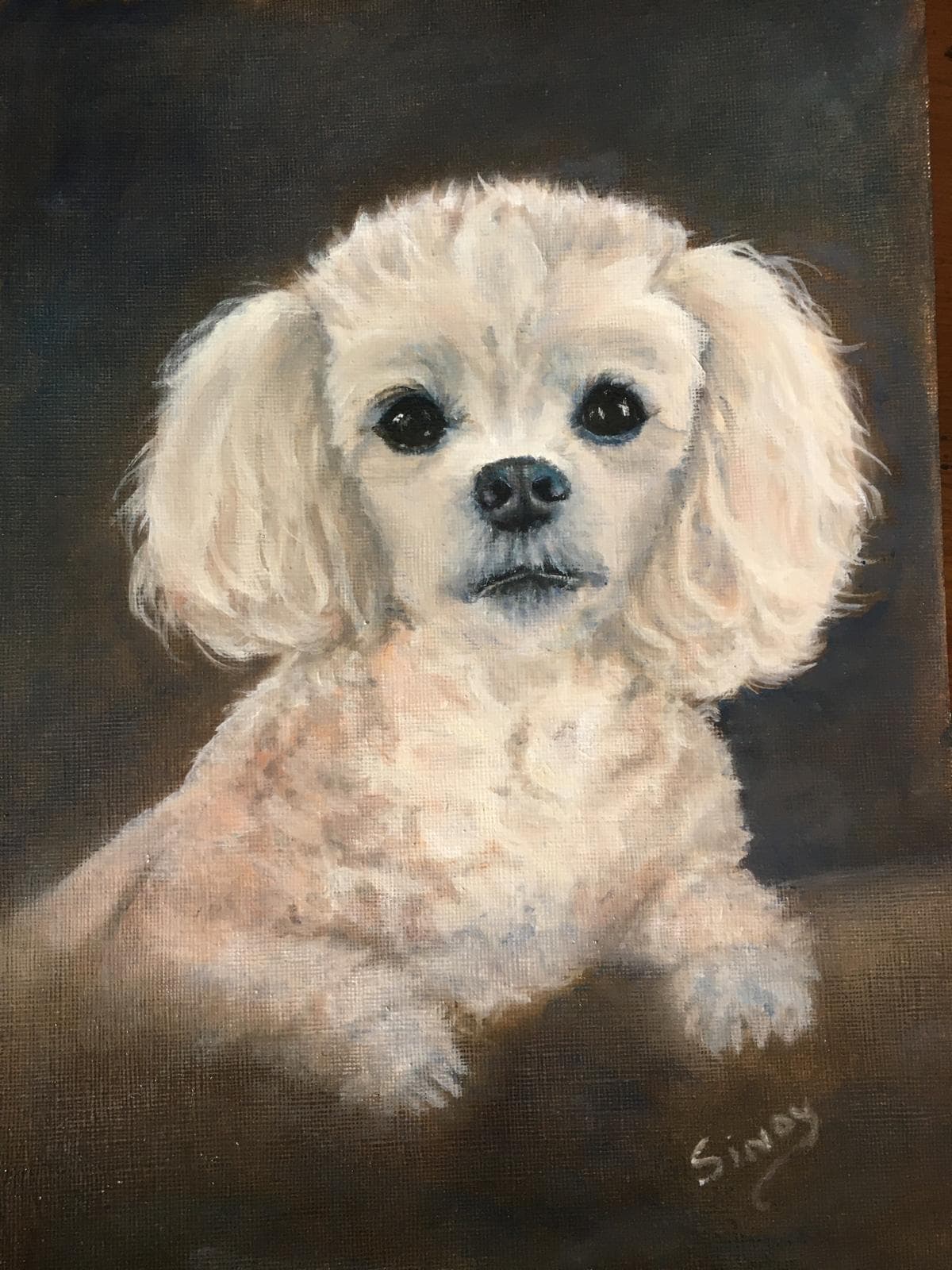 Oil painting of a small cream-white dog with fluffy ears against a dark background
