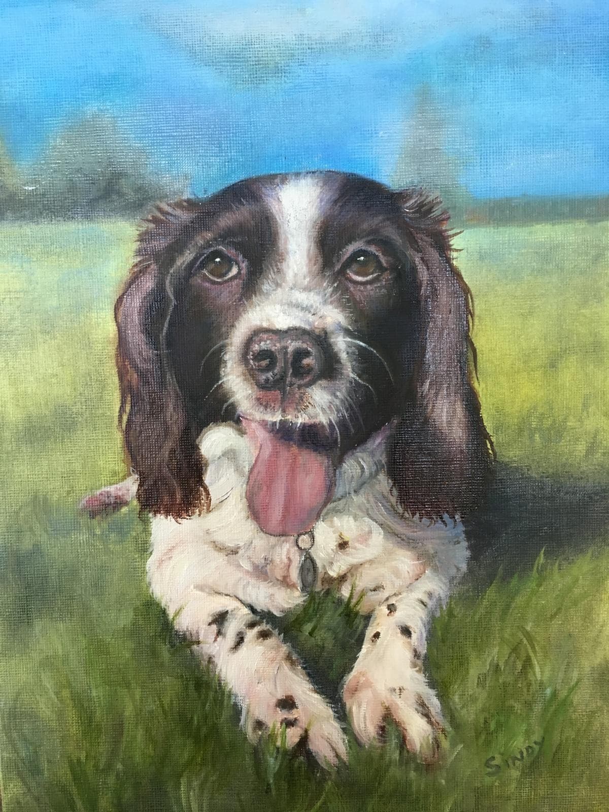 Oil painting of a liver and white springer spaniel lying on grass with its tongue out under a blue sky