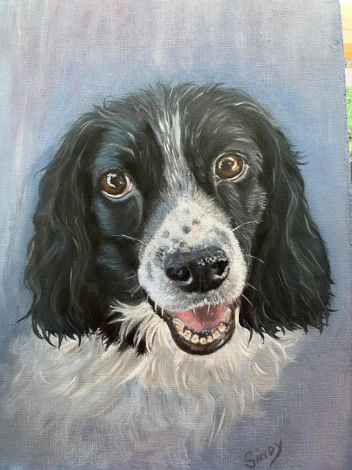 Oil painting of a black and white spaniel with a happy open mouth against a blue background