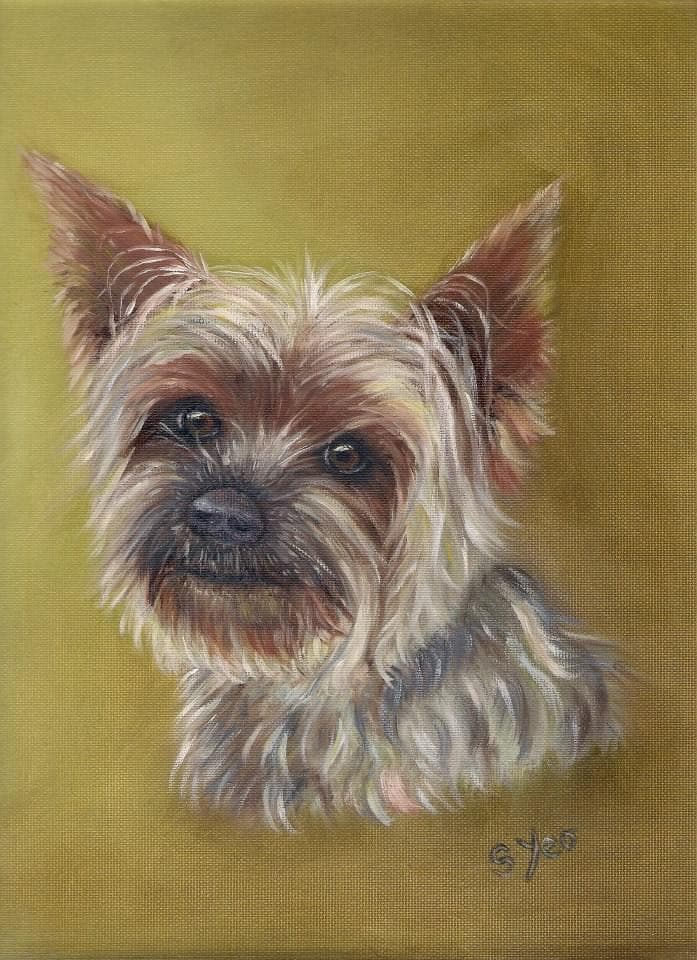 Oil painting of a Yorkshire terrier against an olive-gold background