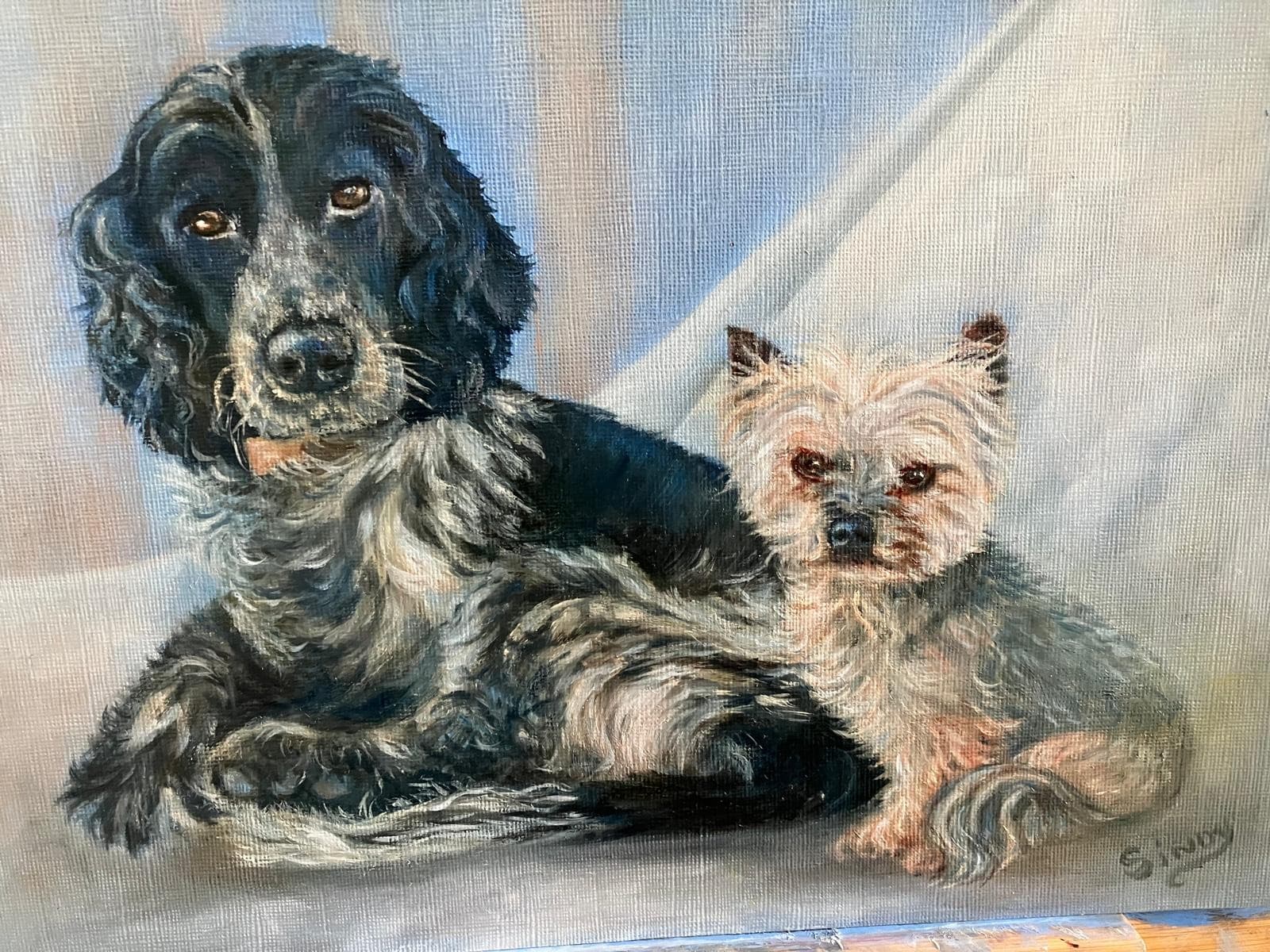 Oil painting of a black spaniel and a Yorkshire terrier lying together